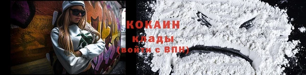 прущие грибы Вяземский