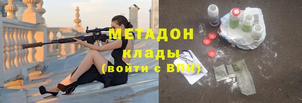 прущие грибы Вяземский