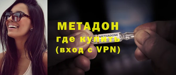прущие грибы Вяземский