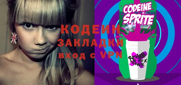 прущие грибы Вяземский