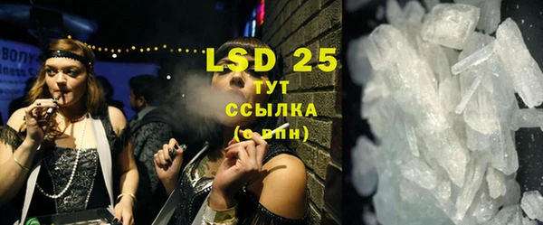прущие грибы Вяземский