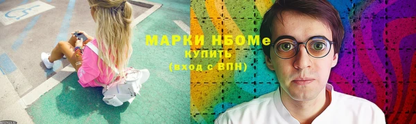прущие грибы Вяземский