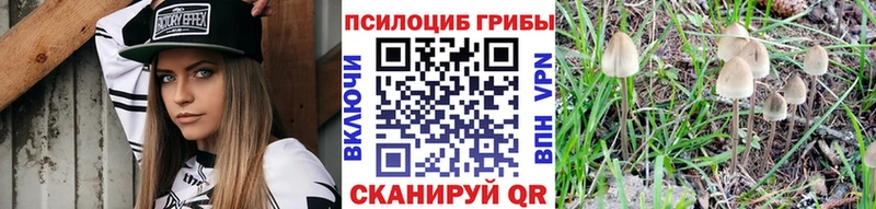 Купить где  Янаул  Псилоцибиновые грибы мицелий 